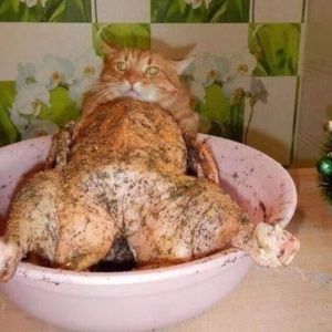 Meet your Posher, Adam